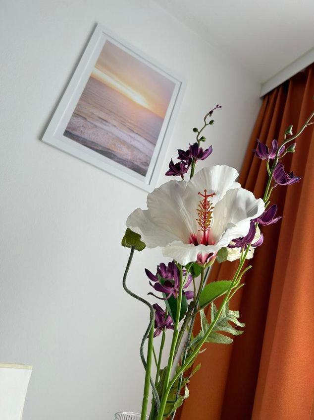 Apartment Harmony Štýrský Hradec Exteriér fotografie